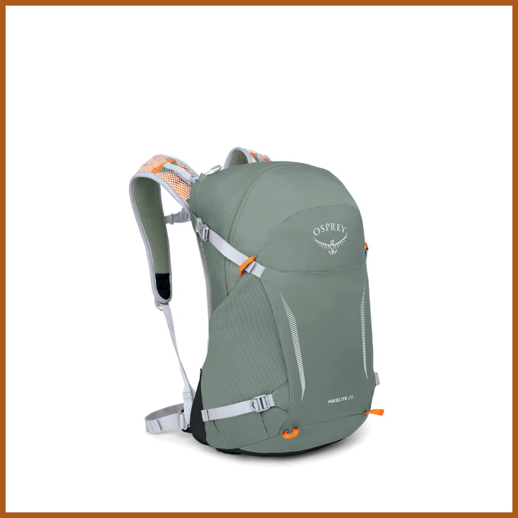 Lightweight Daypack With Ventilated Backpanel And Raincover